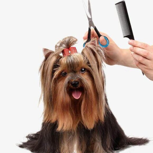 24 PCS Soft Silicone Scissors Finger Rings Dog Grooming Pet Shears Ring Thumb In - Picture 6 of 7